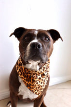 Load image into Gallery viewer, Leopard Print Bandana