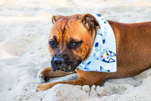 Load image into Gallery viewer, Cattle Dog Bandana