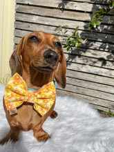 Load image into Gallery viewer, Yellow Summer Fun Bowtie